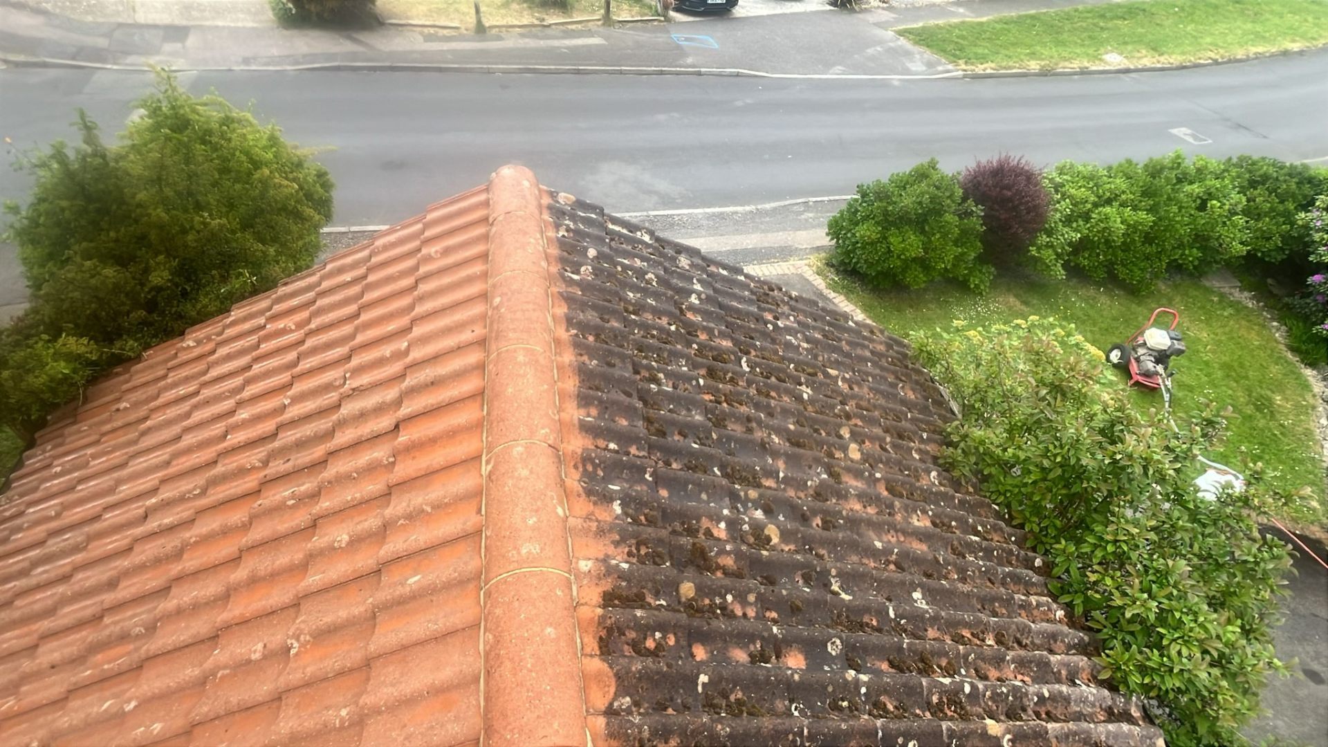 Moss-covered tiled roof viewed from above before cleaning